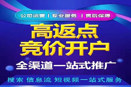 百度推广广告案例：快速抢占市场份额