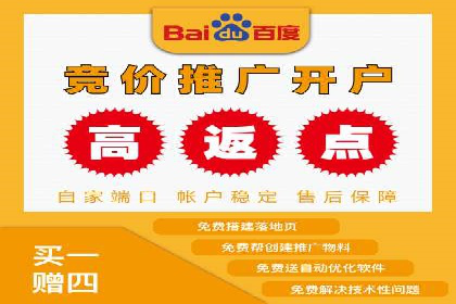百度推广竞价策略解析及实战案例